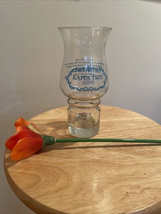 Kapok Tree Inn 1980 Tall Beer Drink Cocktail Glasses — With Flower Straw