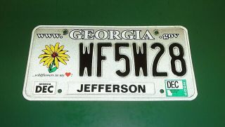 Georgia State Daisy Wildflowers Jefferson Vehicle License Plate Tag Wf5w28