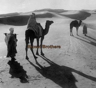 1910s Egypt Sahara Desert Camel Silhouette On Sand Dunes Glass Photo Negative 3