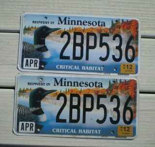 Minnesota Critical Habitat Loon License Plate Wildlife Duck 2bp536 Set