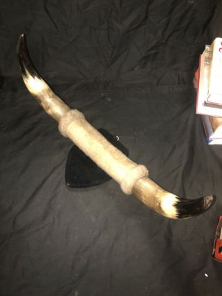 Mounted,  Steer Horns - - They Are About 24 Inches Tip To Tip - - Cool Vintage