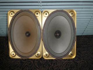 Wigo Fullrange 18x26cm 5 Ohm Full Range Dew Magnet German Vintage Speaker Alnico