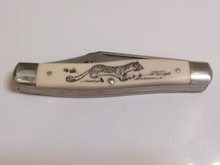 Vintage Schrade Knife Made In Usa Sc505 Scrimshaw Folding Pocket Knife 31