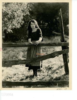 Bebe Daniels Vintage Photo Nancy From Nowhere Lost Hollywood Very Rare