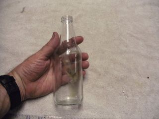 Clear Glass Beer Bottle,  No Label Embossed Cold Filtered Bud? See Pictures