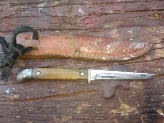 Vintage Case Small,  Bird Trout Hunting Knife / With Heavy Sharping