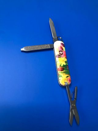 Victorinox Swiss Army Classic Sd Tulips Pocket Knife