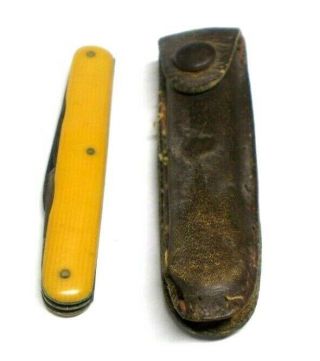 Antique 1900`s W.  H.  Morley & Sons 4 Blade Bone Handle Pocket Knife