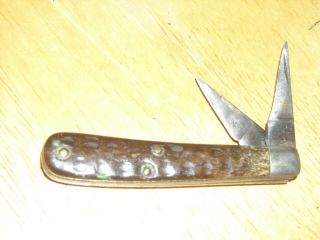 Antique Case Xx Tadpole Green Bone Jack Knife (1920 To 1940)
