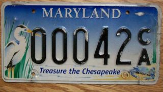 Single Maryland License Plate - 00042ca - Treasure The Chesapeake