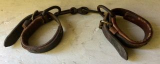 Vintage Western Horse Or Mule Hobbles,  Heavy Duty,  Leather And Chain