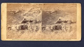 Dead Soldiers Battle Of Antietam 1862 Stereoview 3d Photo By Alexander Gardner