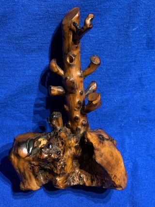 Vintage Chinese Burl Root Wood Decorative Art Polished Statue Sculpture