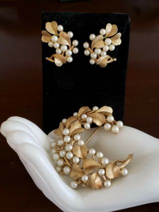 Vtg Crown Trifari Pin / Brooch & Clip Earring Set Brush Gold - Tone With Pearls