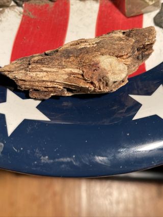 Dug Civil War Fired Bullet In Wood