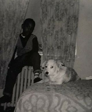 1960s Kid With Dog Black & White Photo African - American Ny Boy Child