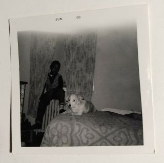 1960s Kid With Dog Black & White Photo African - American NY Boy Child 2