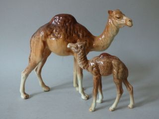 Collectable Small Rare Vintage Beswick Camel Foal Wild Animal Figure Uk P,  P