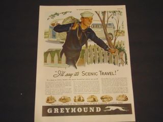 1943 Greyhound Bus Sailor Says It Really Is Scenic Travel Vintage Art Print Ad