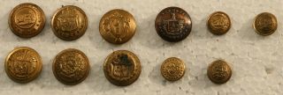 Group Of 11 State Seal American Military Uniform Buttons