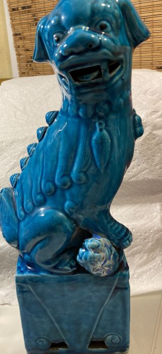 Chinese Turquoise Blue Glazed Porcelain Foo Dog Figurine Statue 15”