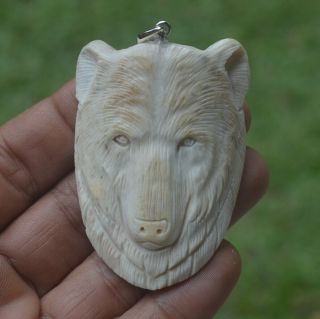 Bear Head Carving 59x42m Pendant P4797 With Silver In Buffalo Bone Carved