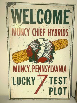 Vintage Muncy Chief Hybrids Feed Seed Corn Sign Large Double Sided 1950 - 60s Rare