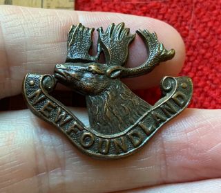 Wwi Great War Canada Cef Cap Badge Royal Newfoundland Regiment Beaumont Hamel
