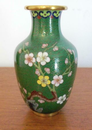 Chinese Cloisonne Enamel Vase Green Background Cherry Blossom And Bird 5.  25 "