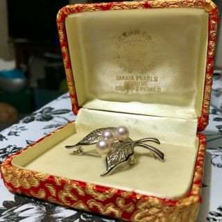 Vintage Sakata Akoya Pearls & Sterling Silver Brooch In Decorative Box