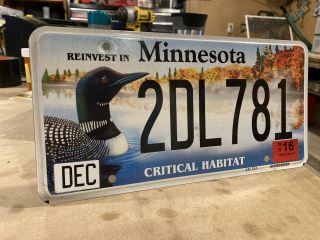 (1) Minnesota Critical Habitat Loon License Plate (expired)