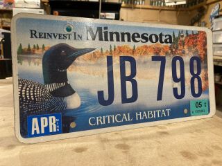 Minnesota License Plate Critical Habitat Loon Bird Environmental Opt 1st Issue