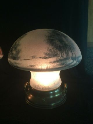 Pittsburgh reverse painted Mushroom lamps 2