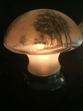 Pittsburgh reverse painted Mushroom lamps 6