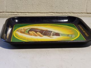 1930 ' s NuGrape Serving Advertising Tray Country Store 6
