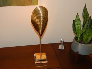Mid Century Brass Clam Shell Lamp Koch & Lowy Stiffel Vintage Picture Light
