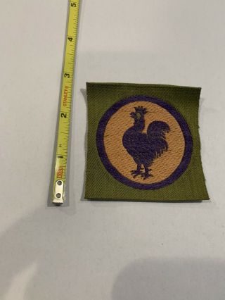 Extremely Rare Wwi Purple & Orange Ambulance Corps Liberty Loan Patch.  Rare