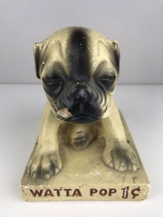 Vintage Watta Pop Chalkware Pug Dog Sucker Display Country Store 1930’s