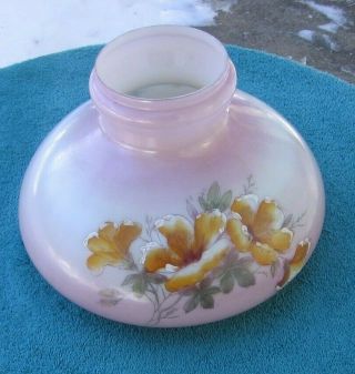 Antique Pink White Glass W Golden Floral Pattern Oil Lamp Parlor Shade Stock Pp