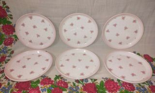 Vintage Hornsea Pottery ‘passion’ Pink Flowers 6 X Dinner Plates Vgc