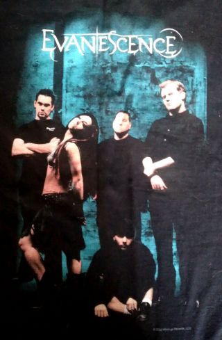 Vintage Evanescence Concert Tee T - Shirt Vtg Wind Up Records 2003