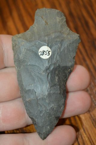 Large Archaic Dover Chert Pickwick Stewart Co,  Tennessee 3.  3/8 X 1.  75 Well Made