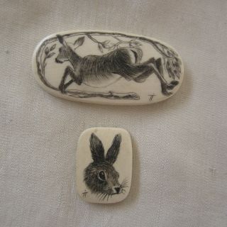 Two Old Scrimshaw Plaques,  1 Deer,  1 Rabbit? Or Fawn,  Lovely Artistry,  Signed
