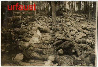 German Wwi Photo Dead Soldiers Kia In Forest