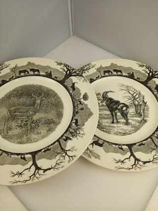 Rare Vintage X2 Wedgwood Kruger National Park Ceramic Dinner Plates