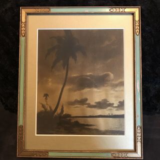 Vintage Photo Hawaiian Palm Trees And Beach,  Ca.  1920s?