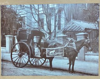 Cardboard Photo (15” By 18”) Bickmore’s Gall Cure - Delivery Horse& Carriage 1880s