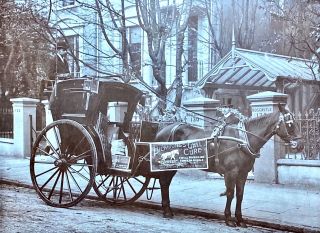 Cardboard photo (15” by 18”) Bickmore’s Gall Cure - delivery horse& carriage 1880s 2