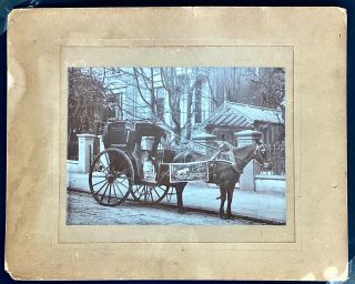 Cardboard photo (15” by 18”) Bickmore’s Gall Cure - delivery horse& carriage 1880s 3
