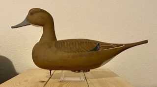 Pintail Hen Duck Decoy By James Frey Magnolia Maryland Hand Carved Signed Dated